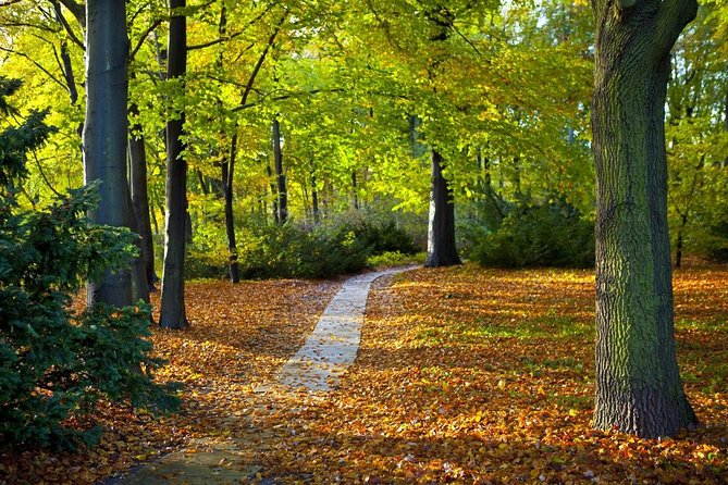 3-Hour Bike Tour of Tiergarten and Berlin's Hidden Places - Key highlights you’ll feel right away