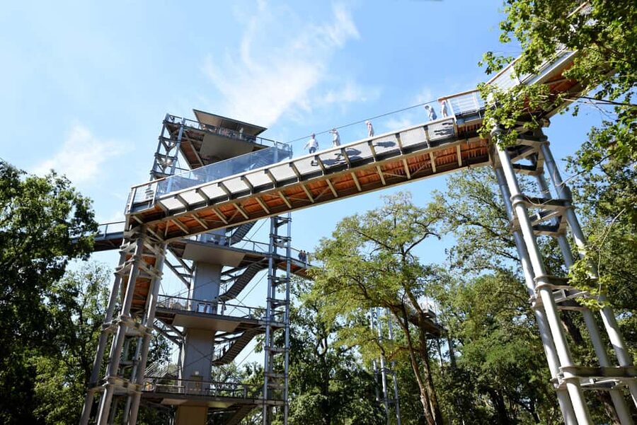 Beelitz-Heilstätten: Baum&Zeit Tree Top Walk Entry Ticket - Key Things That Make Baum&Zeit Worth Your Time