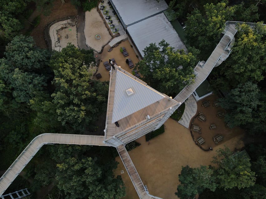 Beelitz-Heilstätten: Baum&Zeit Tree Top Walk Entry Ticket - Alpenhaus Ruins, a Roof Canopy Forest, and the WWII Nature Story