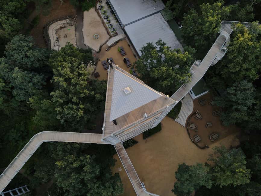 Beelitz-Heilstätten: Baum&Zeit Tree Top Walk Entry Ticket - Who Should Book This Treetop Walk (and Who Might Skip)