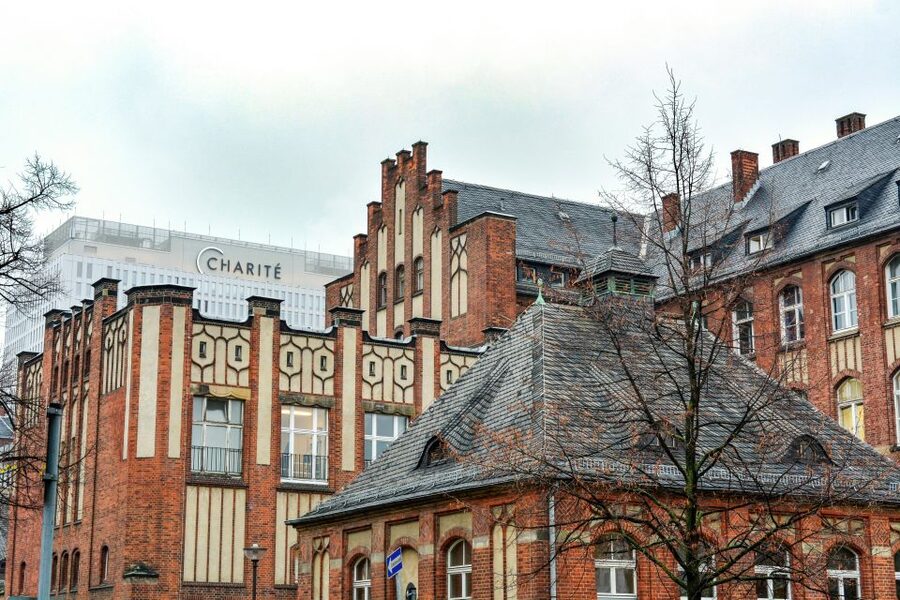 Berlin: Charité Hospital History Walking Tour - Nazi and Socialist Chapters: When Ethics Were Broken
