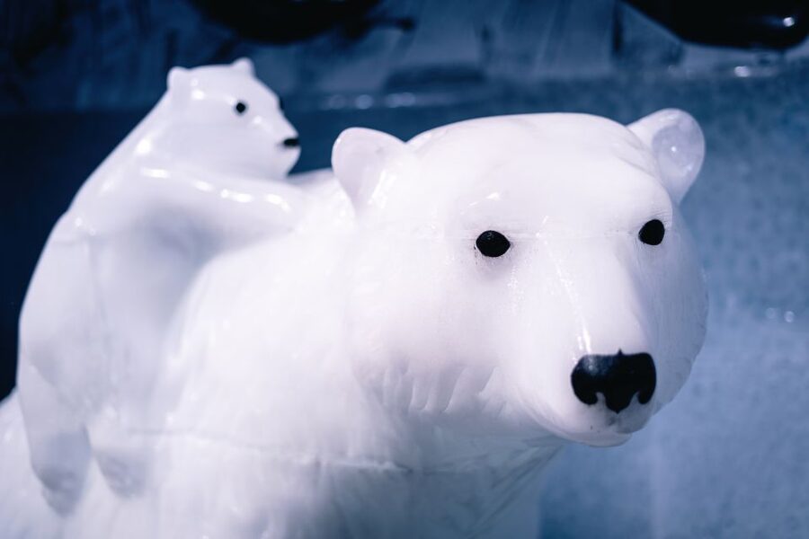 Berlin: Hop-On Hop-Off Bus and Icebar Ticket Combo - Price and Value: Why This Combo Often Makes Sense at $44