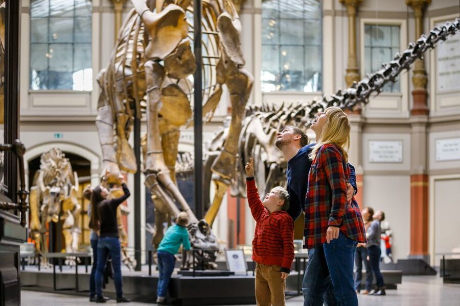 Berlin: Natural History Museum Entrance Ticket - Start in the Dinosaur Hall, where Jurassic life hits hardest