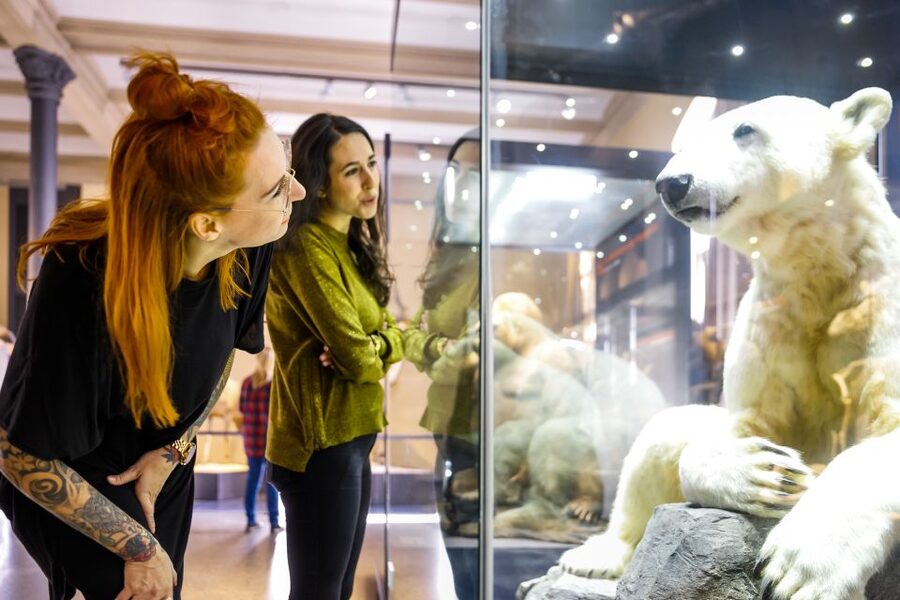 Berlin: Natural History Museum Entrance Ticket - How to pace a 30-minute to 1-hour visit without getting lost