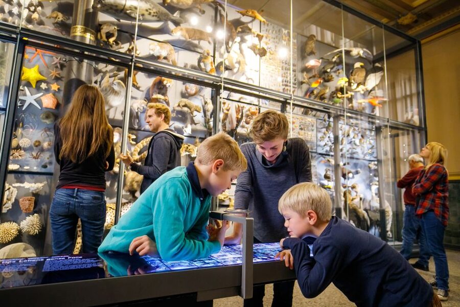 Berlin: Natural History Museum Entrance Ticket - Audio guide reality, download it and bring what you need