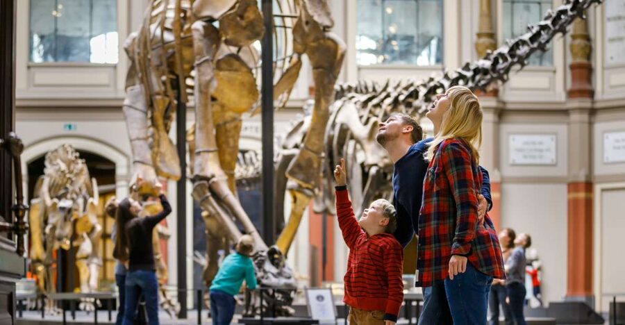 Berlin: Natural History Museum Entrance Ticket - What your ticket actually covers, entrance plus an audio plan