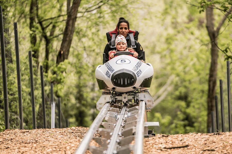Berlin: Nature Bobsled Run Ticket - The ride itself: 500 metres, 40 km/h, and the 360-degree moment