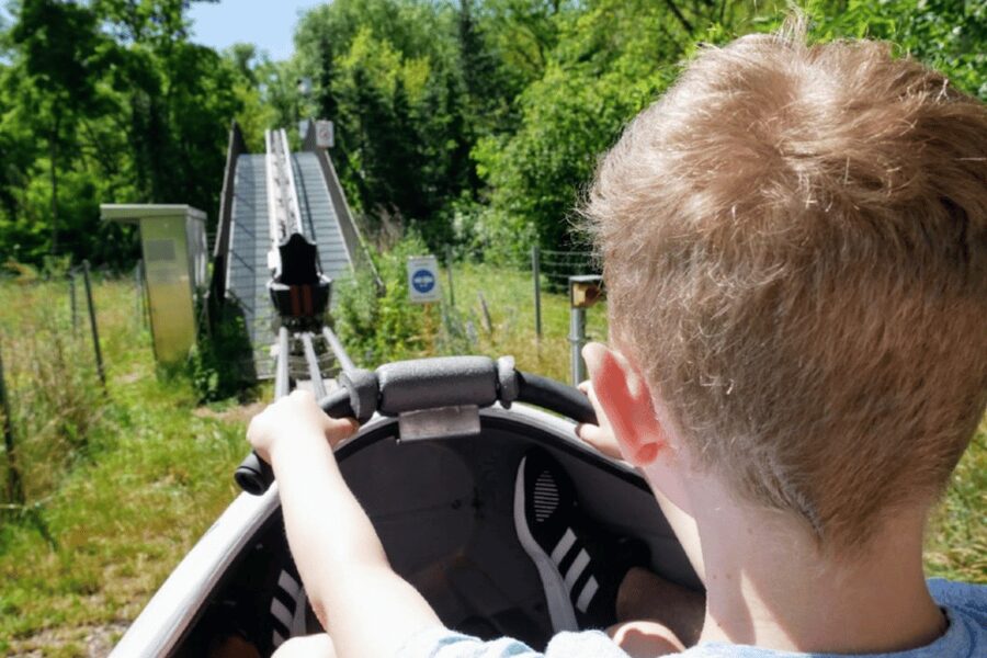 Berlin: Nature Bobsled Run Ticket - What language support looks like, and what to expect on-site
