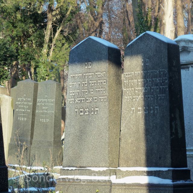 Berlin: Prenzlauer Berg District Guided Walking Tour - Jewish Cemetery on Schönhauser Allee and the Wasserturm (Water Tower)