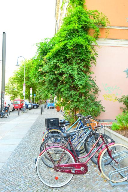 Berlin Reunited and Revived! 3-Hour Alternative Tour - Key things you should notice on this Berlin alternative tour