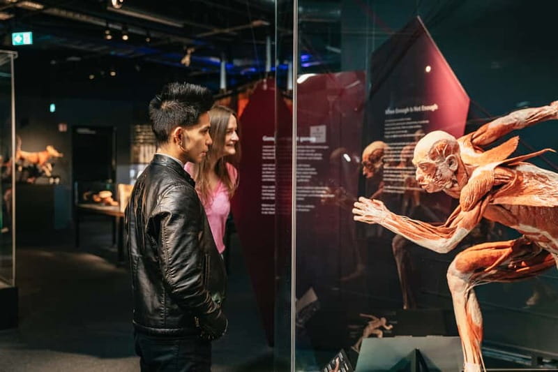 Berlin: Tickets for the BODY WORLDS Museum in Berlin - Key Things You Should Notice in BODY WORLDS Berlin