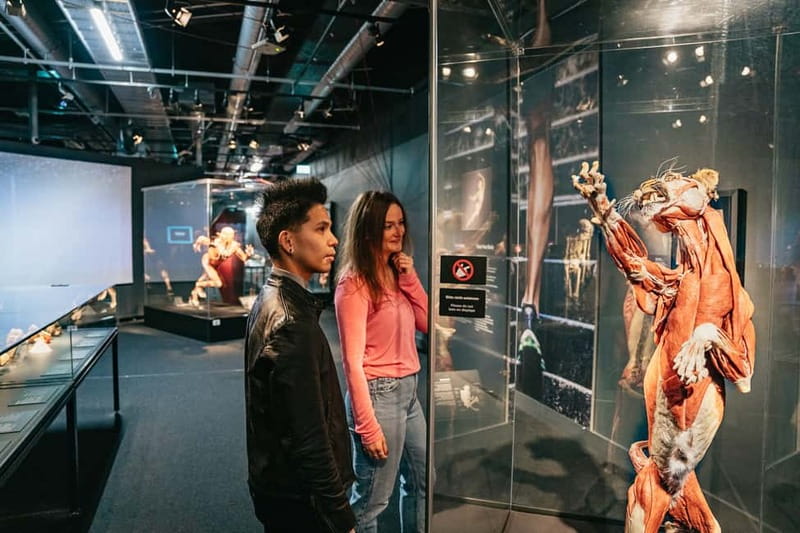 Berlin: Tickets for the BODY WORLDS Museum in Berlin - Audio, Labels, and Getting the Most Out of Your Visit