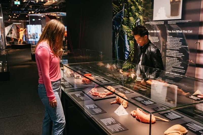 Berlin: Tickets for the BODY WORLDS Museum in Berlin - Where to Go in Berlin: Panoramastraße 1a and Timing Your Arrival
