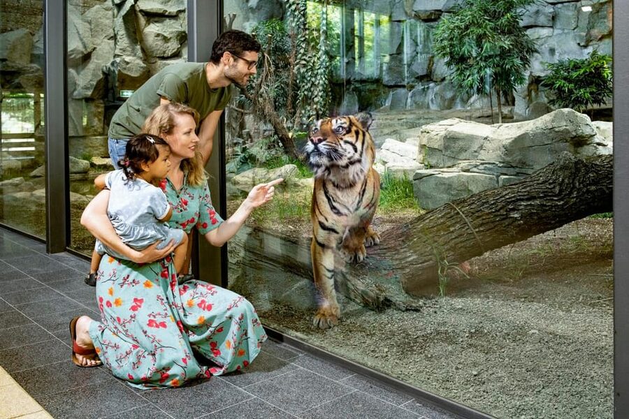 Berlin: Tickets for the Tierpark in East Berlin - Key Highlights You’ll Feel Right Away