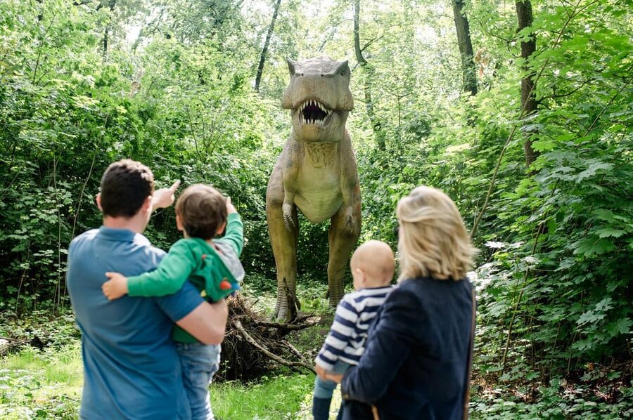 Berlin: Tickets for the Tierpark in East Berlin - Tierpark Berlin, East Berlin, and a Zoo That Feels Like a Day Trip