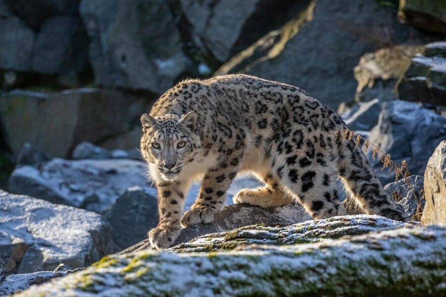 Berlin: Tickets for the Tierpark in East Berlin - The World in One Day: Themes That Make Animals Easier to Follow