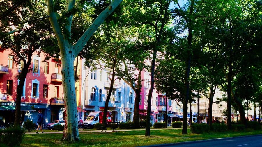 Berlin: Vegan Food & Cultural Walking Tour in Friedrichshain - Who Should Book This Berlin Vegan Food Tour