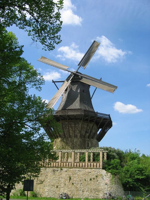 From Berlin: Gardens & Palaces of Potsdam Bike Tour - The Comfortable City-Cruiser Bike Setup
