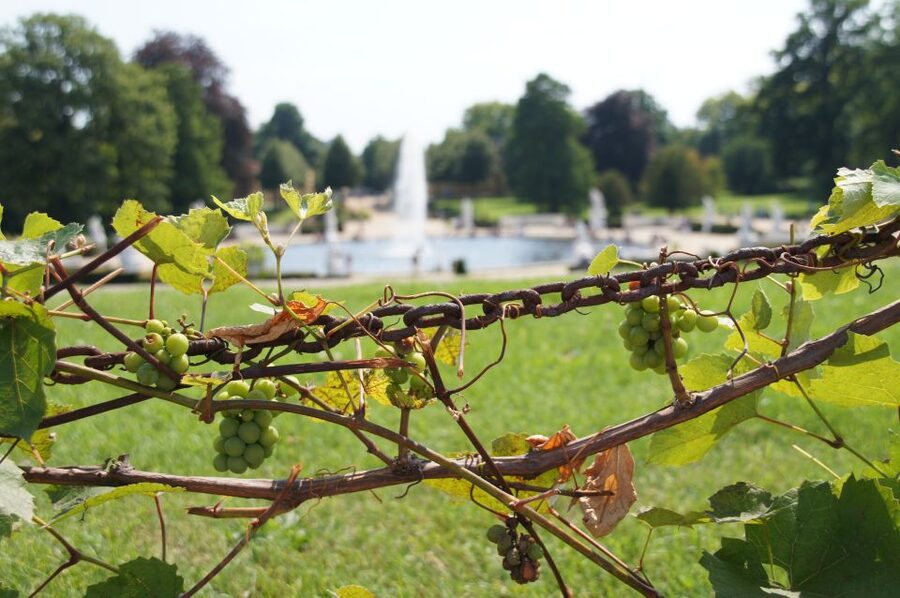 From Berlin: Potsdam Half-Day Tour in Spanish - Potsdam in one focused walk: Frederick the Great to the Dutch Quarter