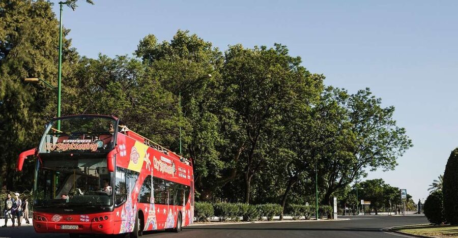 Potsdam: City Sightseeing Hop-On Hop-Off Bus Tour - Key things I’d bank on before you ride
