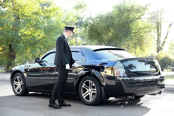 Private One way Airport Transfer Berlin Airport To Berlin - Child Seats, Service Animals, and Small Practicalities