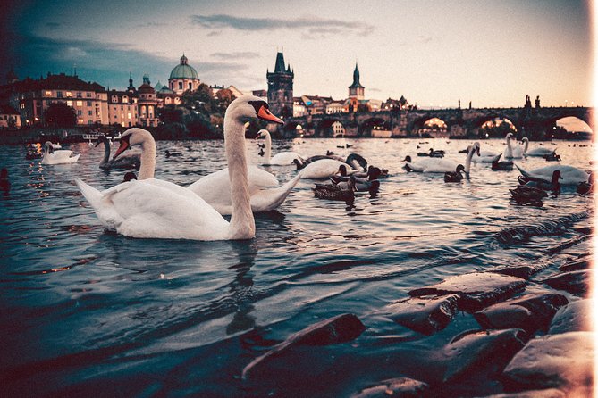 Private Transfer from Berlin to Prague with 2h of Sightseeing - Should you book this private transfer?